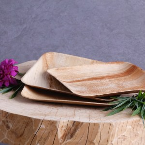 Areca Leaf Snack Plate