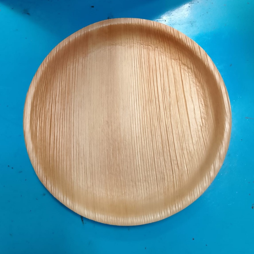Areca Leaf Square Plate (8")